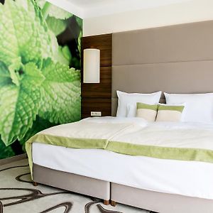Habitación Superior